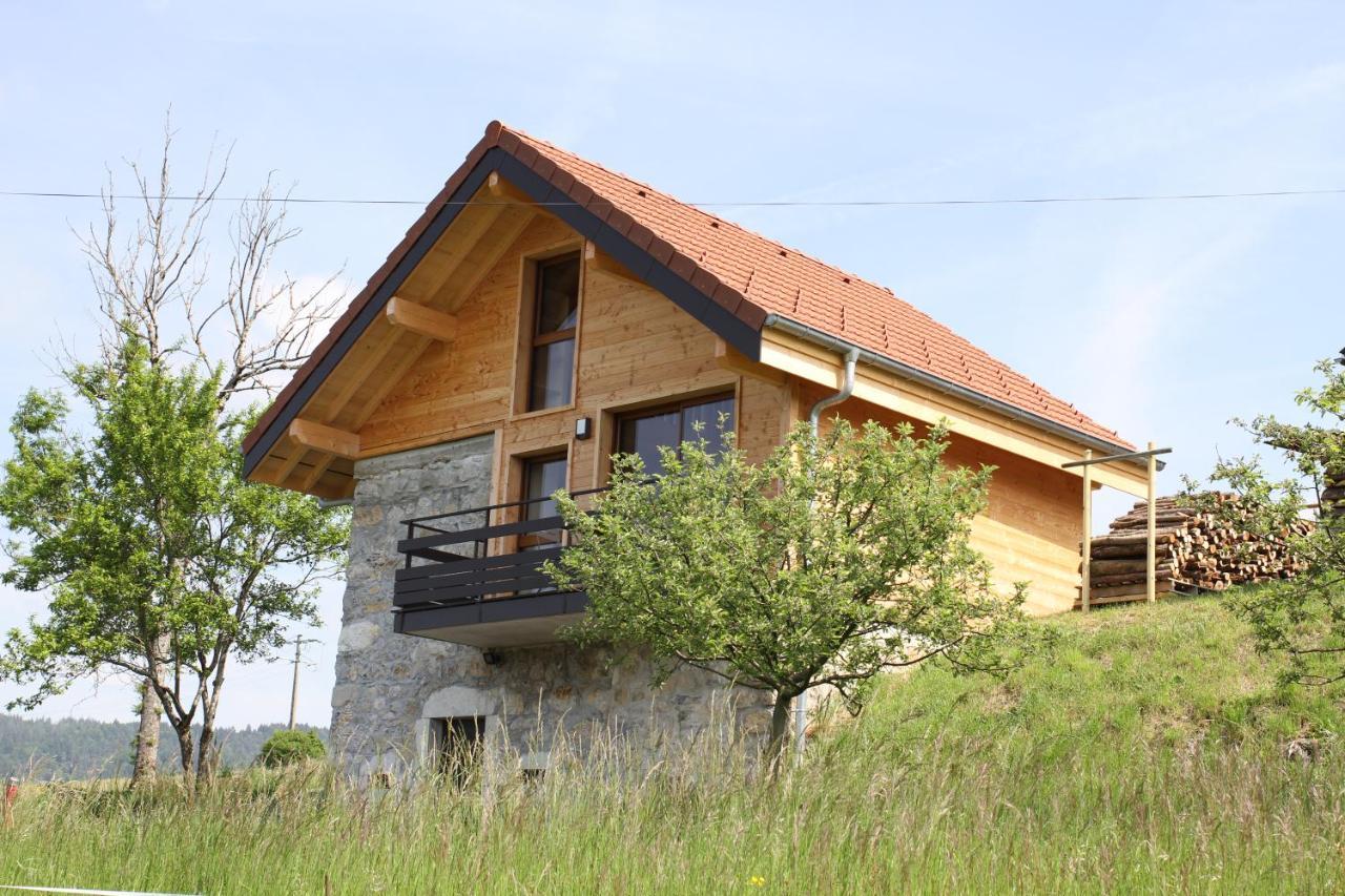 Le Chalet Des Pierres Viuz-en-Sallaz Esterno foto